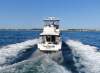 Bertram 38 Flybridge Caterpillar Diesels Hardtop to cockpit &amp; Generator - 5