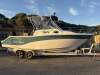 Sea Fox 256 Voyager Ready for Rottnest and Beyond - 3