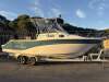 Sea Fox 256 Voyager Ready for Rottnest and Beyond - 4