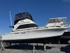 Bertram 31 Flybridge Cruiser asd