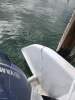 2006 model Custom 9.9m Cat Twin 150Hp Yamaha's - 17