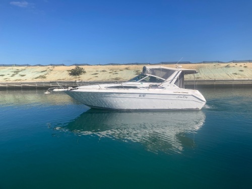 SeaRay 290