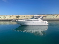 SeaRay 290