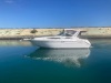 SeaRay 290