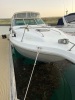SeaRay 290 - 3