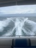 SeaRay 290 - 5