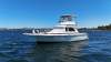 Bertram 35 Flybridge - 3