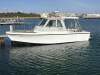 Penguin 26 in 2C survey. D4 engine. Ready to work or play