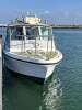 Penguin 26 in 2C survey. D4 engine. Ready to work or play - 3