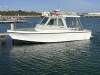 Penguin 26 in 2C survey. D4 engine. Ready to work or play - 4