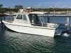 Penguin 26 in 2C survey. D4 engine. Ready to work or play - 14
