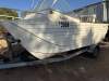 Websters Twinfisher 5.0 Runabout - 4