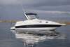 Mustang 2800 SportsCruiser Series III with Only 596 hours - 5