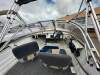 Stacer 420 Seahawk - 3