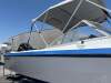 Caribbean Runabout Just serviced and over the pits - 3